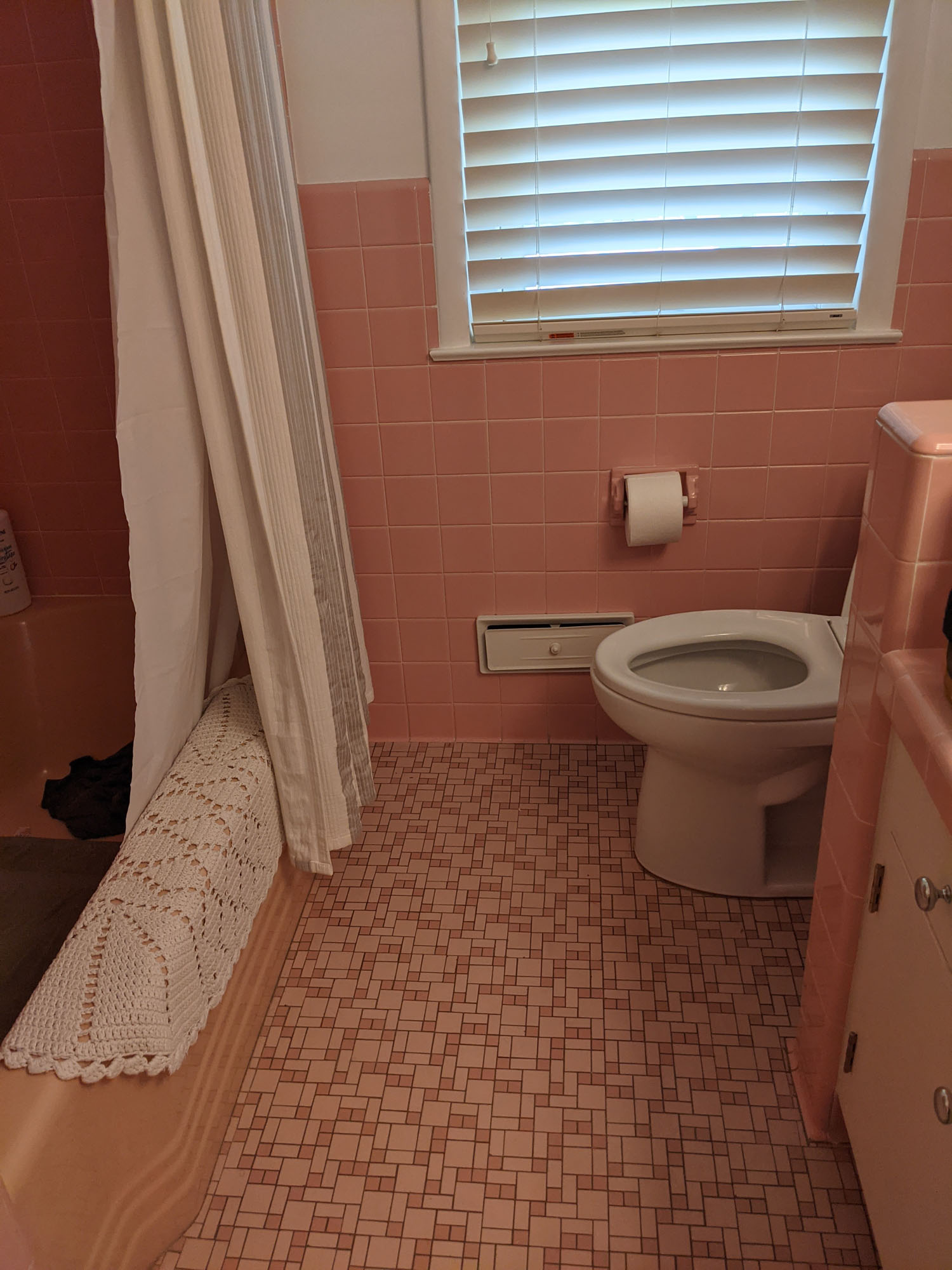 Pink Bathroom Before Remodel