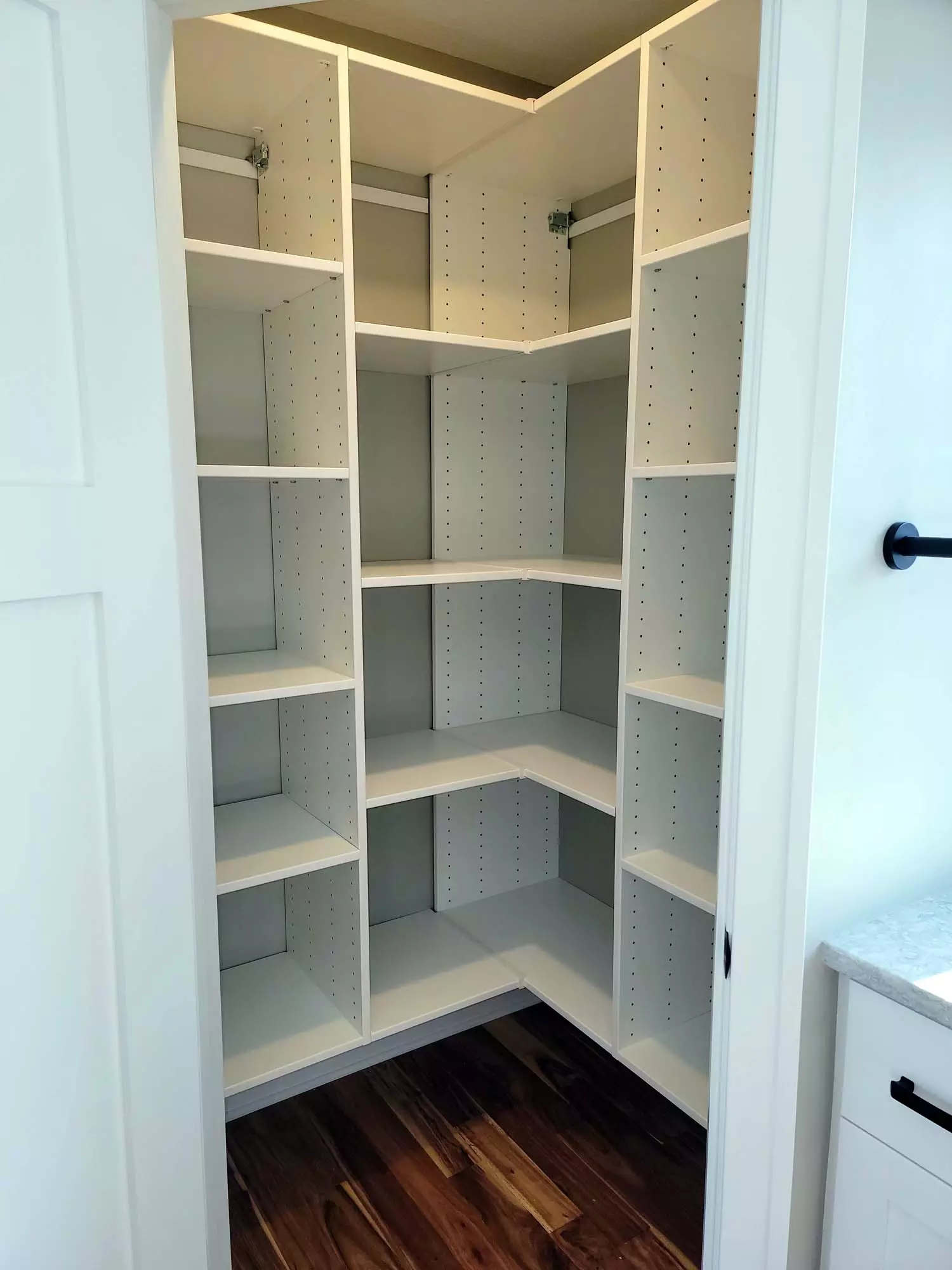 Walkin pantry with lots of built-in shelving