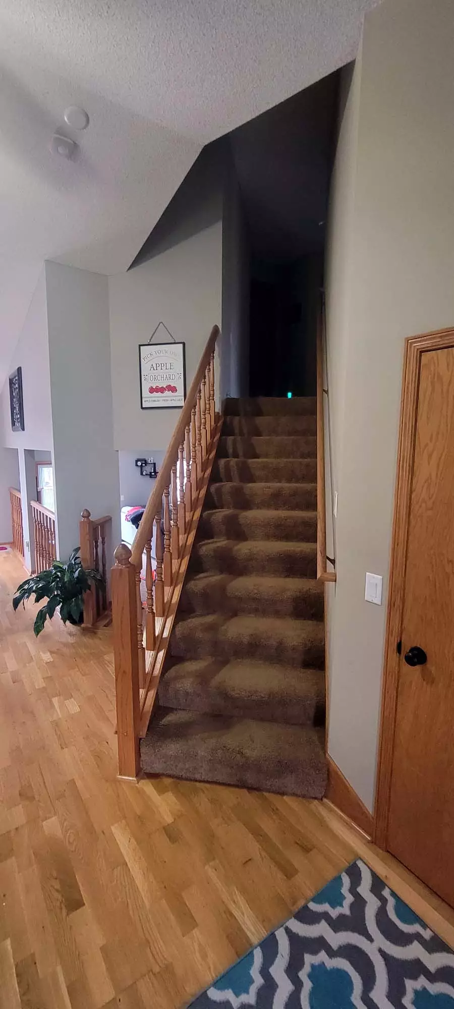 Andover Home Carpeted stairs before remodel to solid Red Oak stair treads