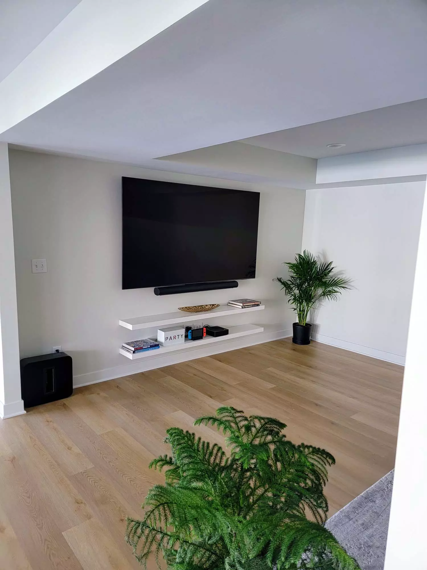 TV- Media Room- family space