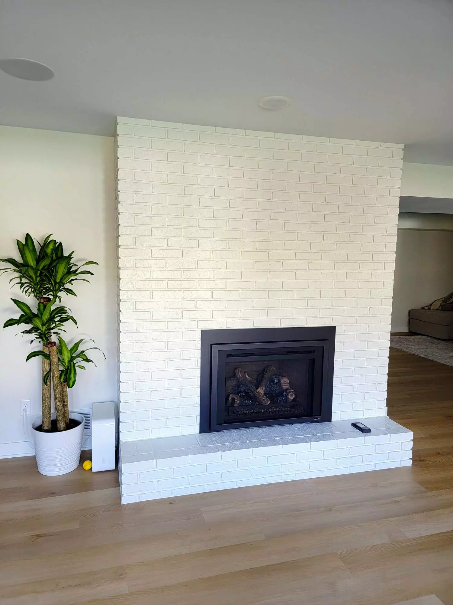 Insert Gas Fireplace w/ updated painted existing brick