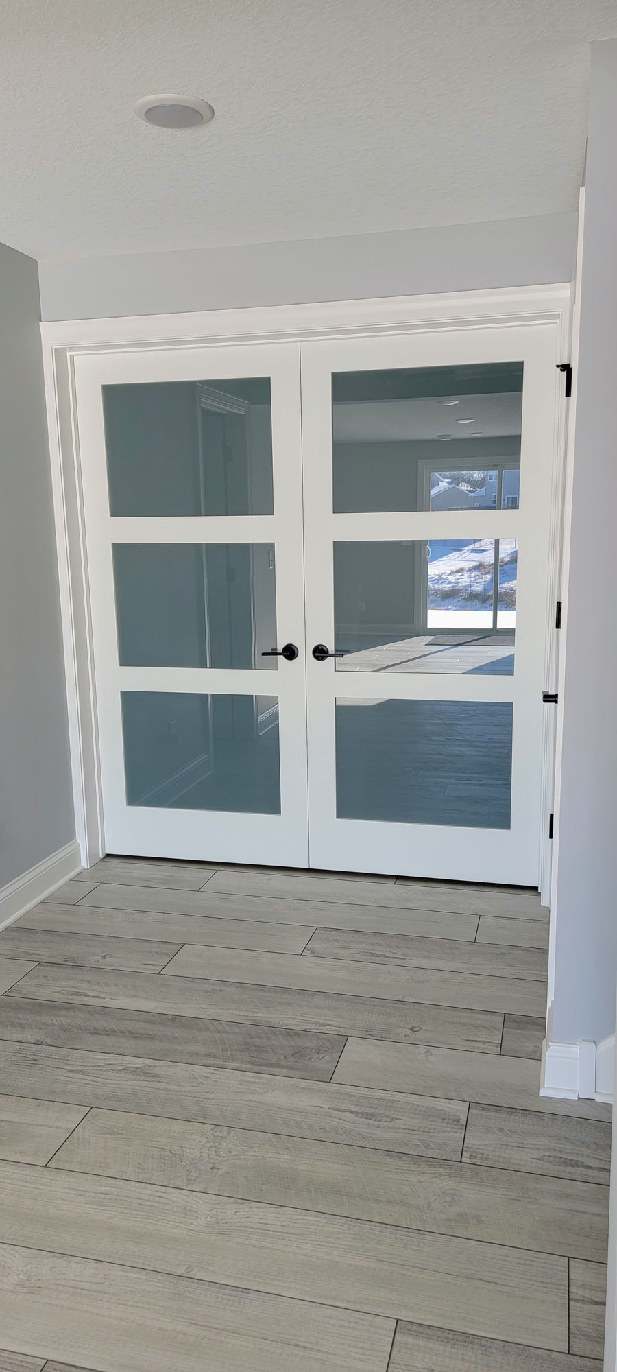 3-panel Frosted glass French doors