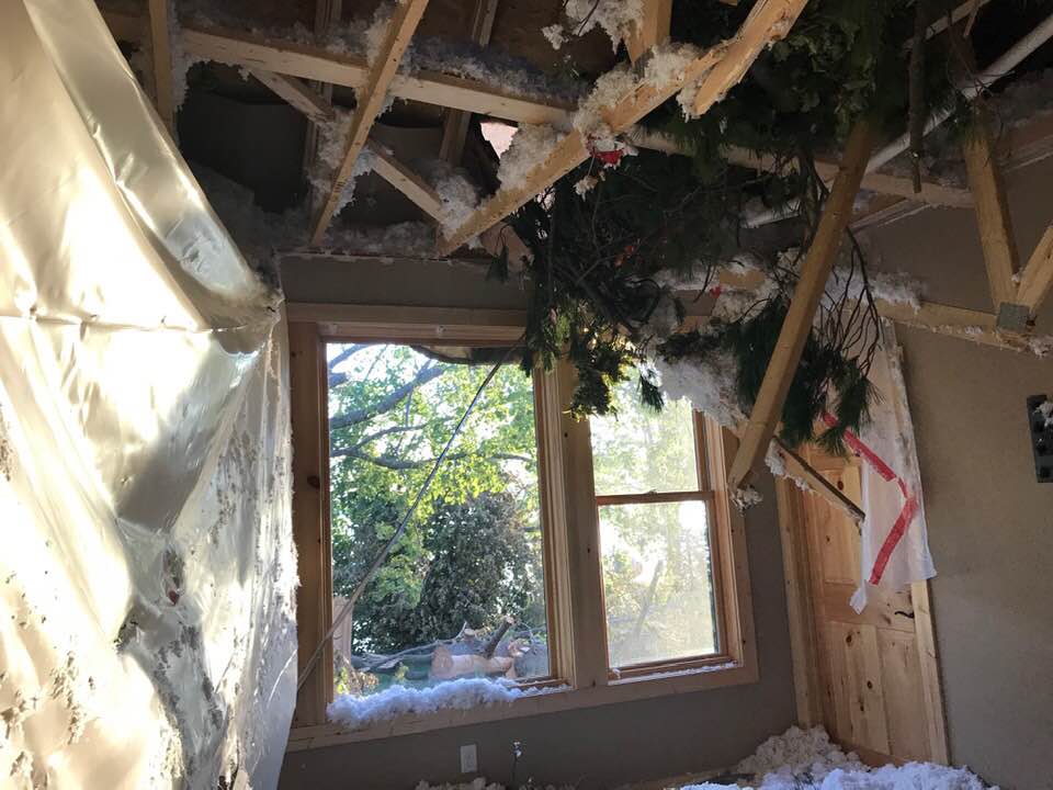 Storm Damage - hole in roof from fallen tree - inside view